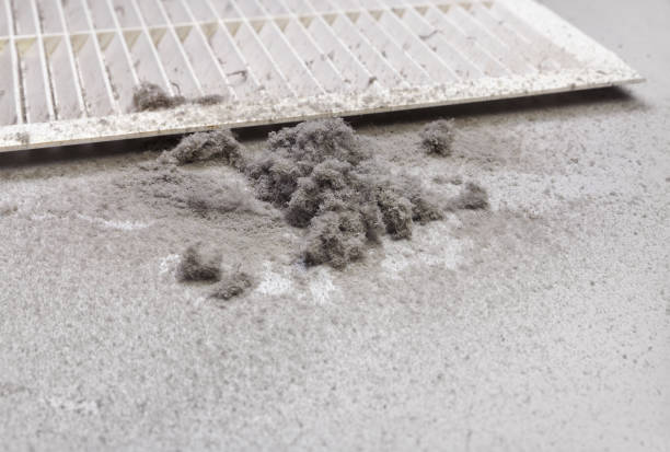 Affordable HVAC Duct Cleaning in Berrien Springs, MI