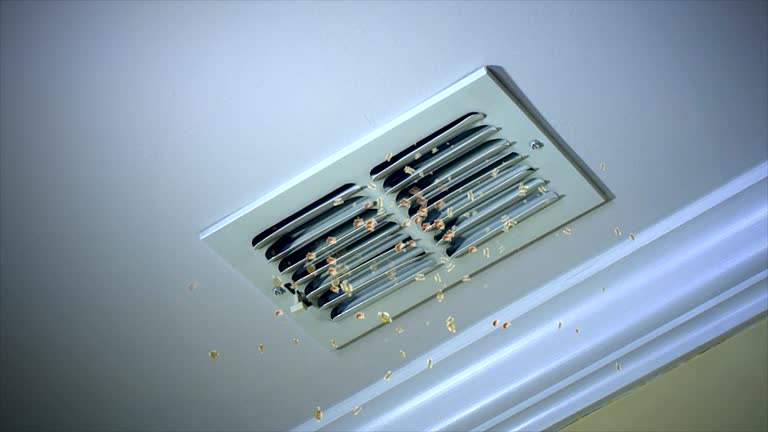 Best Air Duct Mold Removal  in Berrien Springs, MI
