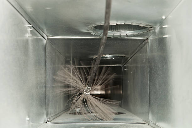 Air Duct Mold Removal in Berrien Springs, MI