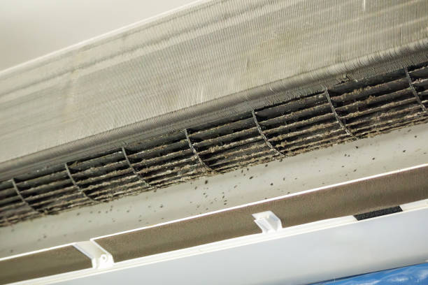 Best General Air Duct Cleaning  in Berrien Springs, MI