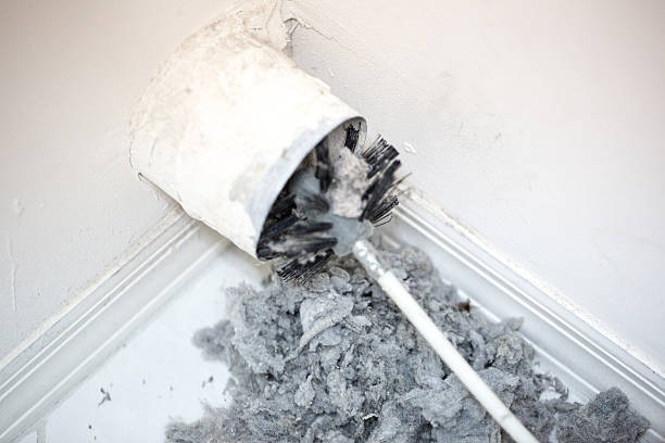 Best Affordable HVAC Duct Cleaning  in Berrien Springs, MI